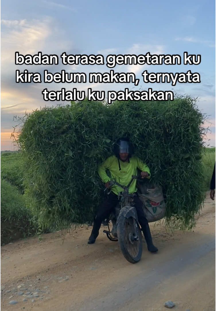 #ngarit 