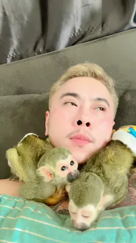 ปานลูกในไส้🤣🤣🤣🤣