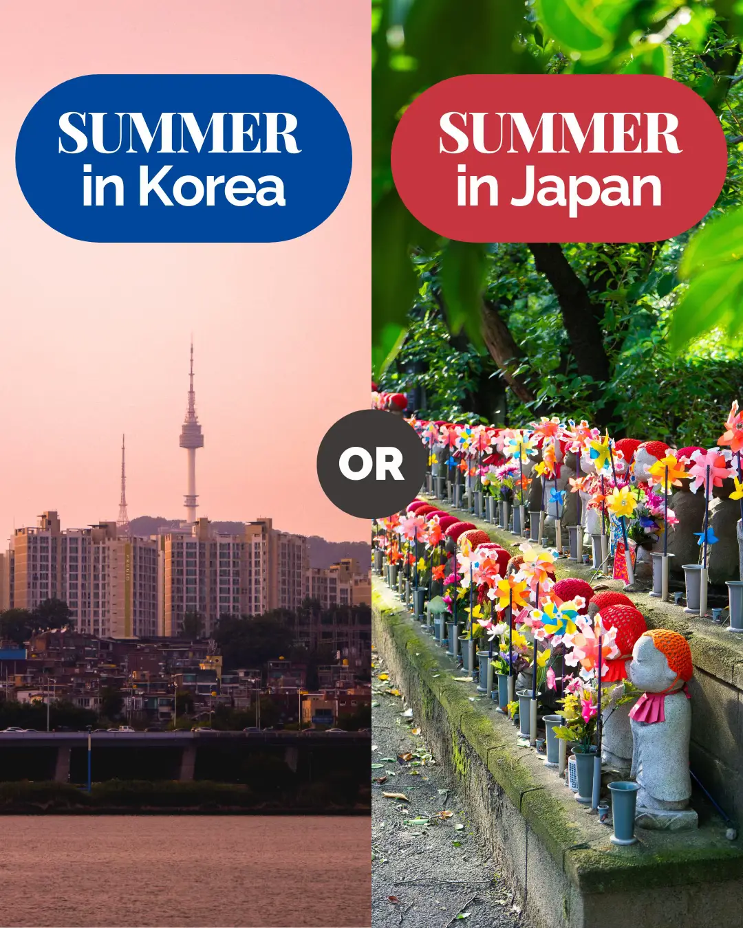 Here are some fun activities you can try this season: 🇯🇵 Visit a firework show 🇰🇷 Eat bingsu! 🇯🇵 Wear a yukata 🇰🇷 Visit Jeju island 🇯🇵 Watch Ajisai 🇰🇷 Attend the Waterbomb Festival Where do you want to travel this summer? 😍 Don’t miss our summer programs to Japan and Korea - take language classes in the morning and enjoy fun cultural activities in the afternoon. Upcoming trips: 📆 Korea Summer Course (Aug 17 - 31, 2025) ❗ Booking deadline: May 31 📆 Japan Summer Course Study Trip - 3 weeks ( Aug 3 - 23) ❗ Booking deadline: June 2 📆 Japan Summer Course Study Trip - 4 weeks ( Aug 3 - 30) ❗ Booking deadline: June 2 Want to visit both countries in one trip? 📆  Japan & Korea Study Trip ( Aug 3 - 30) ❗ Booking deadline: June 2 💰 FLASH SALE: Book your Japan trip before June 9 to get 50,000 yen off! Use the code ✨ FLASH ✨ in the checkout. ✈️ Check the link in bio for pricing and trip details to Japan!  Visit @Go! Go! Hanguk for more information about study trips to Korea.  #studyabroad #studyinjapan #studyinkorea #japankorea #japanese #korean #summerprogram 