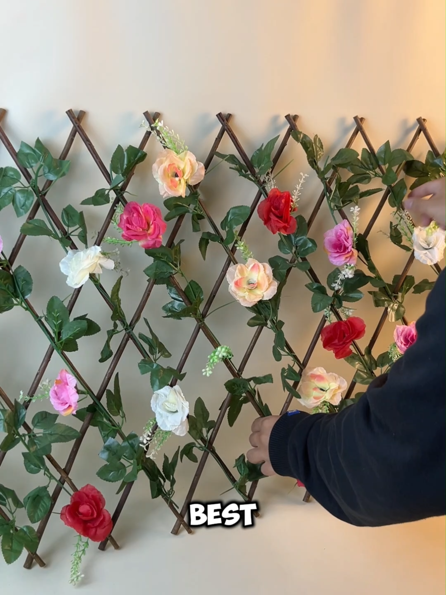 bunga mawar ini sih yang cocok buat hiasan dinding rumah atau area pagar nih #pagarbunga #bungamawar #mawar #daunrambat #hiasandinding #dekorasirumah #tanamanhias