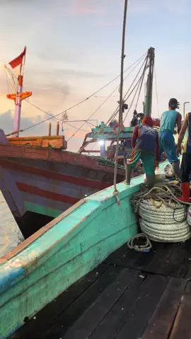 Mr.sani#dogolanfiseran #cantrangbrebes #fypシ゚ 