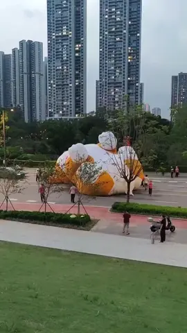 柯基又搞事！瘋愛白車狂翻滾🐶 #柯基 #萌寵 #趣事 #可愛 