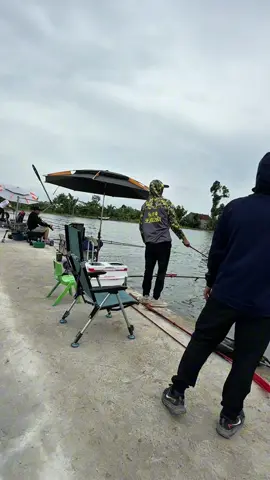 Xin 1 lần lọt hồ ! #tienminhquang #câu_đài #minhquangfishingthuongtin #xuhuong #câucá 