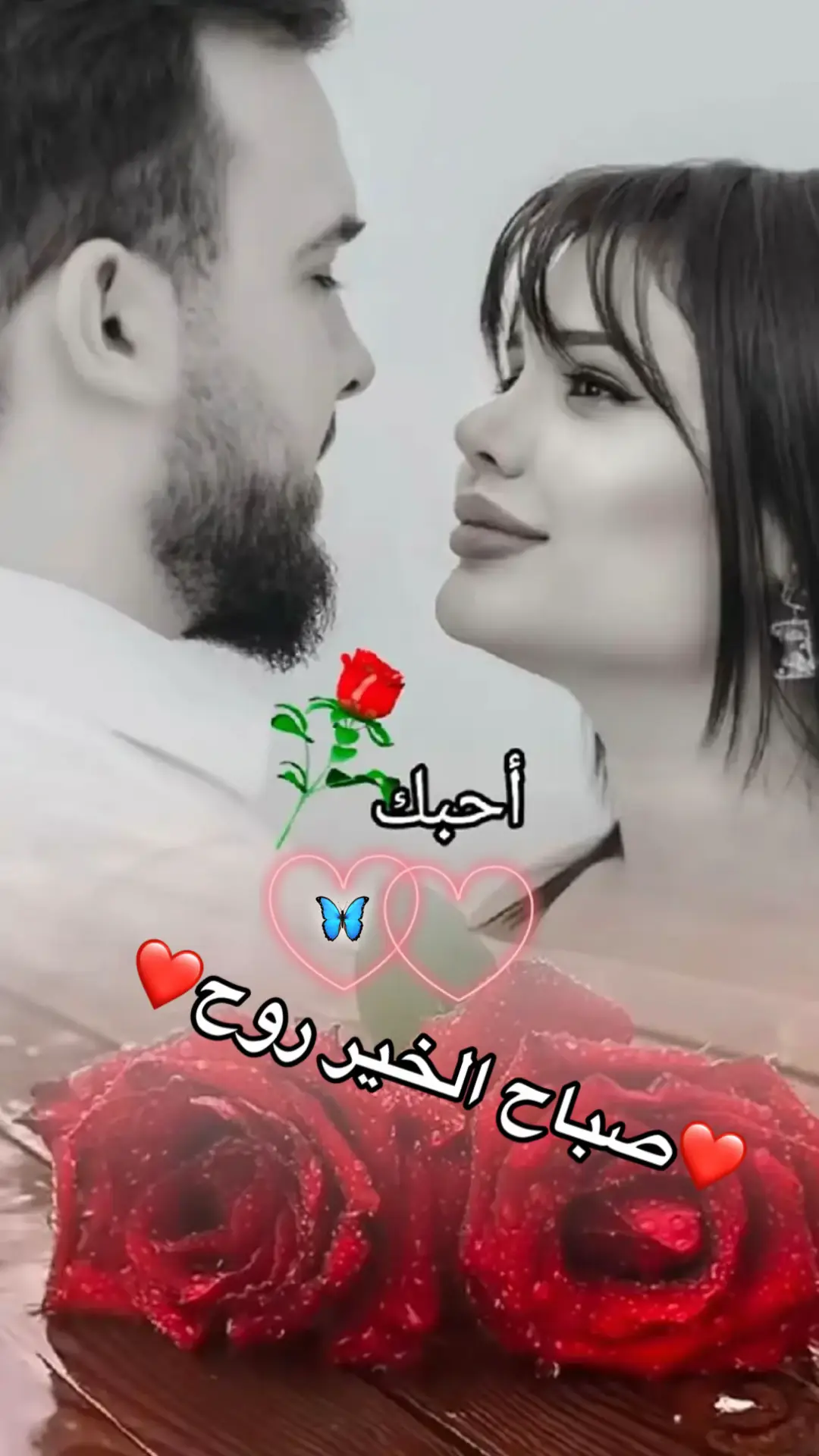 ❤️❤️❤️❤️❤️❤️❤️🫂🫂🫂🫶🫶#❤️❤️❤️❤️❤️❤️❤️ #عباراتكم_الفخمه📿📌 #نبض_قلبي #👏🏻👏🏻🎼🎻💃 #tiktok 