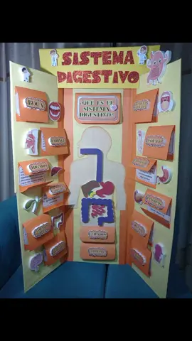 Lapbook del sistema digestivo #lapbookdelsistemadigestivo #maquetasistemadigestivo #lapbookcreativo #lapbookdigestivo #trabajosescolares #materialparaexposicion #cuidadosdelsistemadigestivo #titamaquetita #sistemadigestivointeractivo #trabajosescolaresenventanilla 
