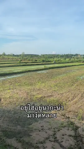 ตำรวจใกล้ฉัน😵#ฟีดดดシ 