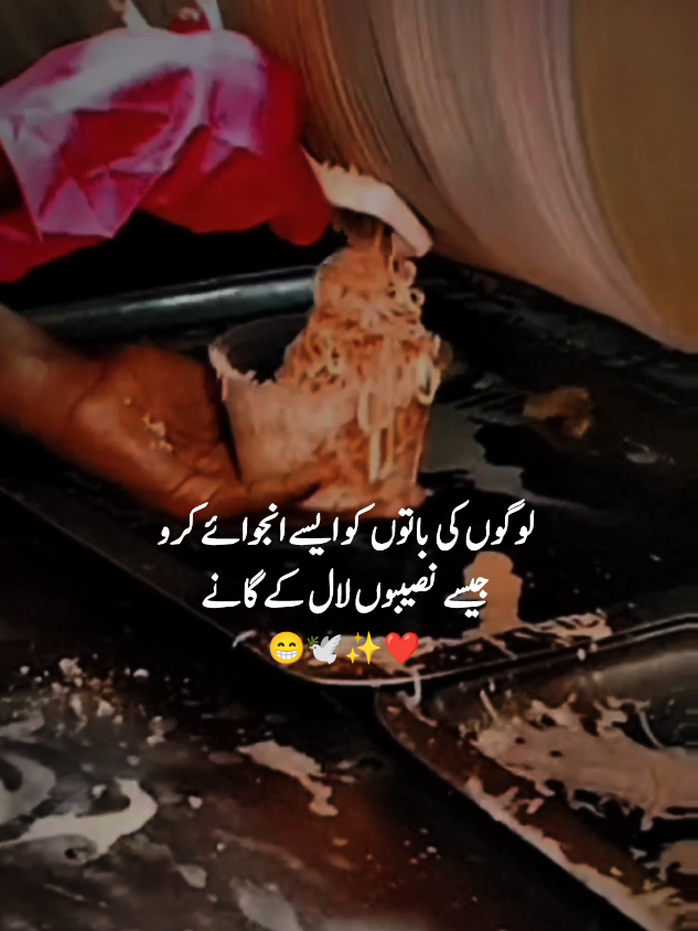 لوگوں کی باتوں کو ایسے انجوائے کرو جیسے نصیبوں لال کے گانے #kashifwrites93 #fyp 