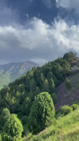 #кашкасуу🏔 #кыргызстан🇰🇬 