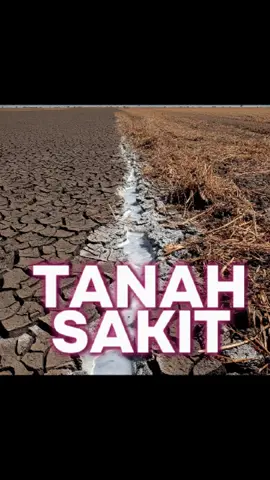 “Beginilah jadinya kalau tanah dipaksa terus-terusan pakai pupuk kimia… kering, mati, dan kehilangan kehidupan. 😢 Saatnya kita peduli tanah kita! #SelamatkanTanah” 📉 Dari subur jadi tandus cuma karena satu kesalahan fatal: terlalu sering pakai pupuk kimia. 💚 Mau tanah kembali sehat? Yuk mulai beralih ke cara alami! 👉 Follow untuk tips tanah sehat & pertanian organik! #TanahRusak  #PupukKimia #TanahKering #Pertanian #TanahSubur #ViralFakta
