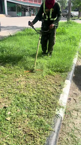 #เครื่องตัดหญ้า #ตัดหญ้า 