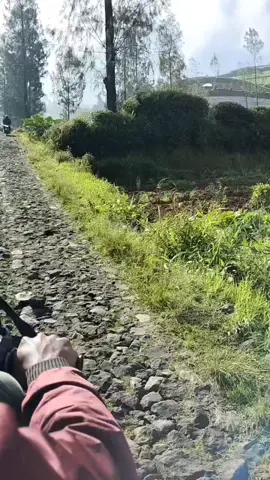 #gunungsumbing3371mdpl #sumbingviagajahmungkur #gunungsumbing #ojekgunungsumbing 