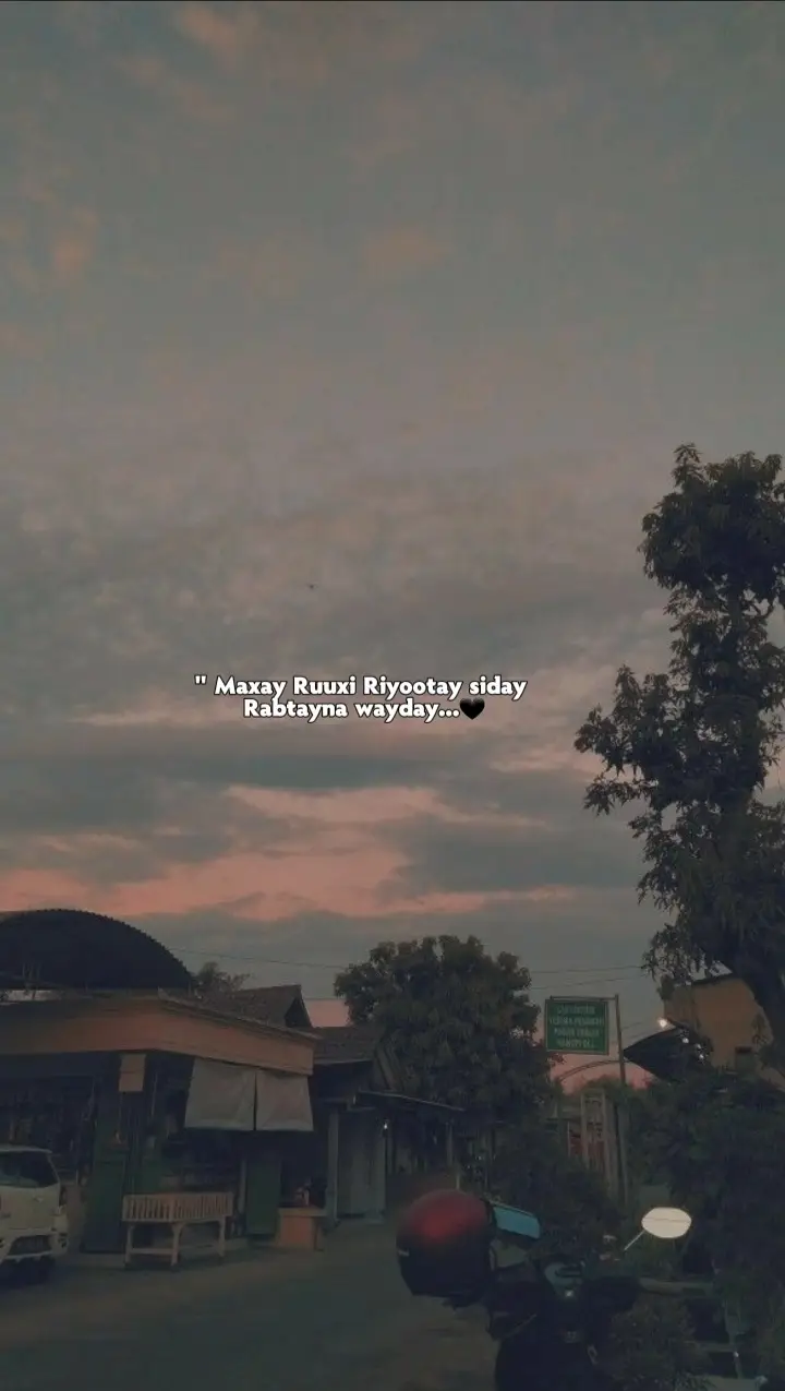 Part 39 | #layrics_songs #somalilyrics🌺😕💎 #jawi_bila🌊❤️🌴 #elminho_🥺 #fyp #viewsproblem 