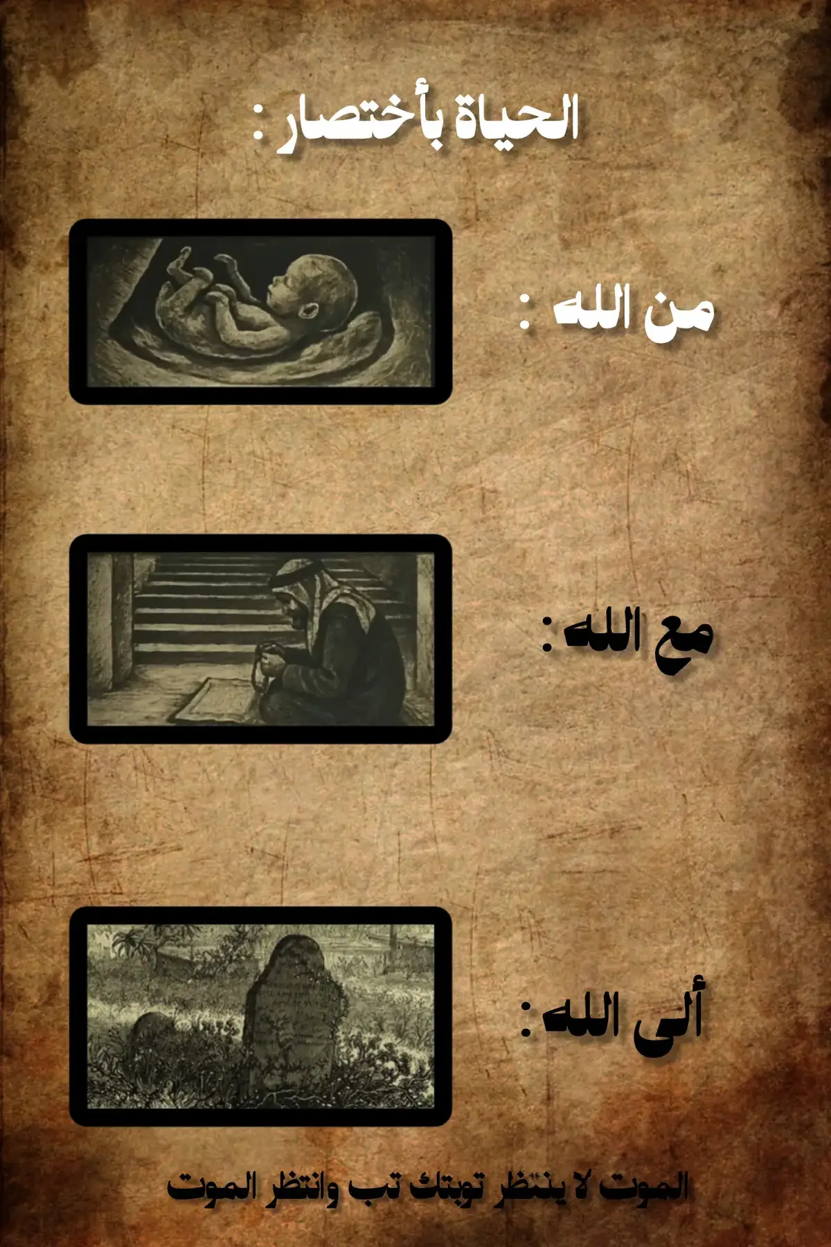 #الحسين_ثورة_خالده #شور 