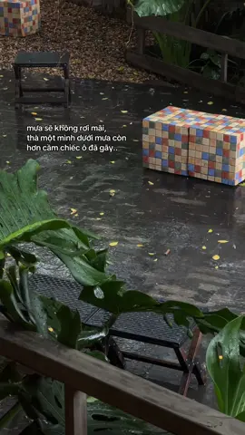 Nước mắt anh lại rơi vì em đấy... #tamtrang #sadness #viralvideo #fyp #hot #status #quotes #tamtrang #rain #tiktokgiaitri #amm 