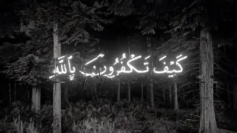 ارح سمعك🖤🎧#مهدي_الشيشاني #quran 