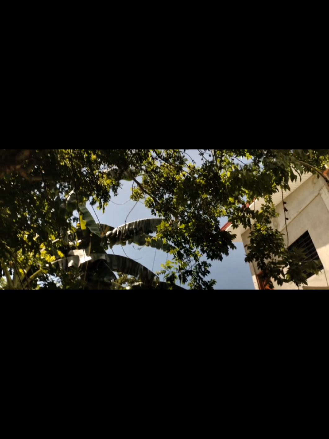 . . . . . . . . . . #cinematography #cinematic #cinematicvideo #colorgrading #nostalgia #innerchild #peace 