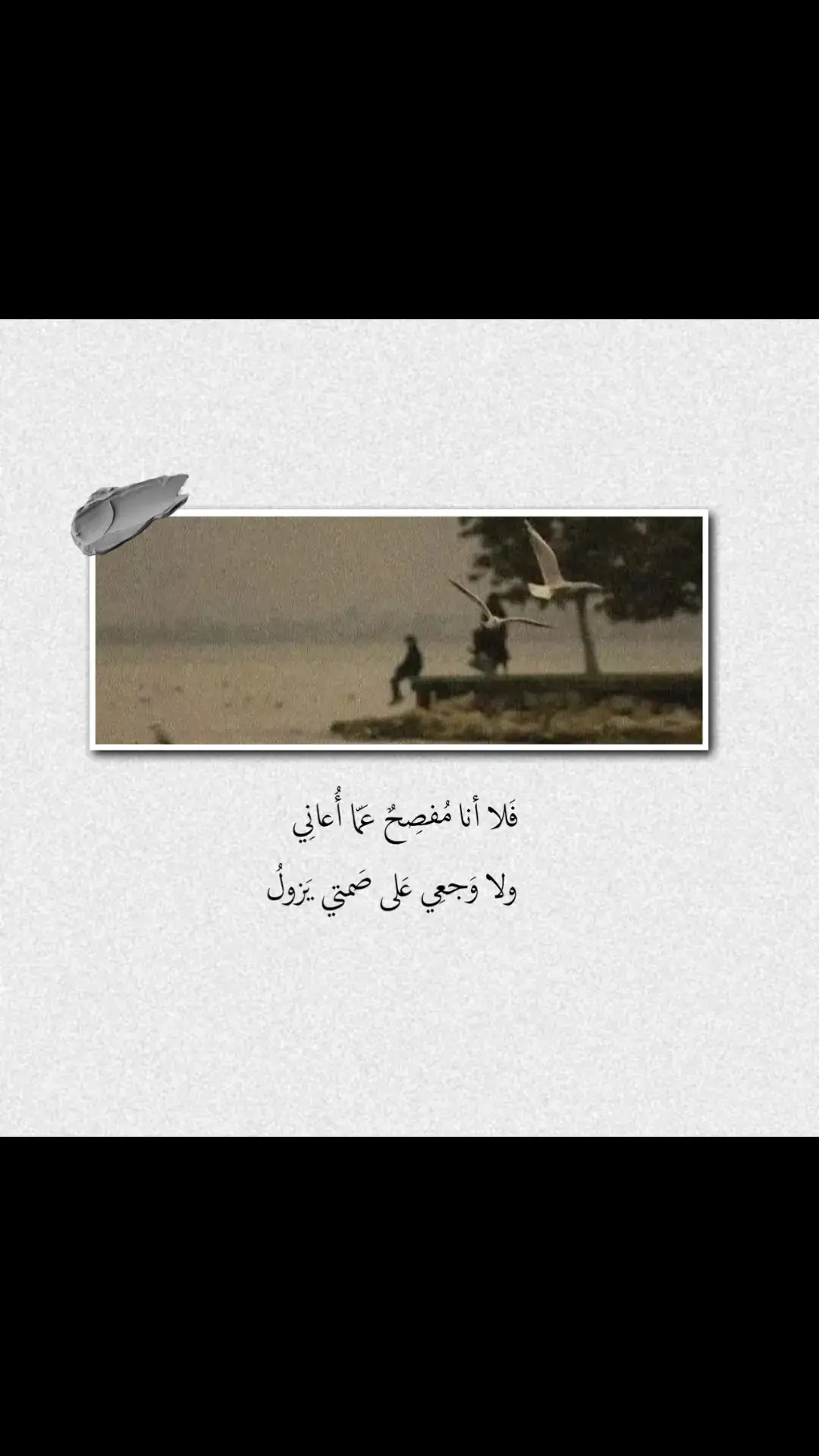 #quran 