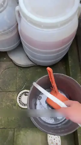 Làm phân hữu cơ cho rau#hatgiong #trongcay #beefarm #trongcaytainha 