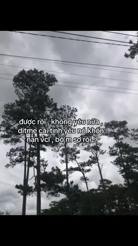 #xuhuong 