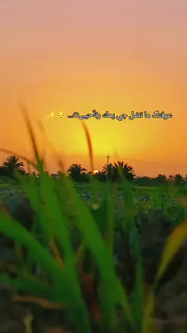 #تصويري_احترافي_الاجواء👌🏻🕊😴 #غروب_الشمس #عبارات #خليتني_بديرة_غرب #مشاهدات #لايك 