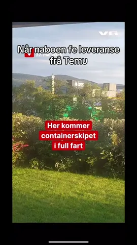 Naboen har bestilt litt for mykje på Temu! #fyp #foryou #foryoupage #tiktoknorge #norway #norsk #wow #temu #pakke 