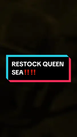 RESTOCK QUEEN SEA 6000 dan 8000, secara keselurahan Kalau mancing laut dalam cocok pakai Queen sea ini karena Body Aluminium Dan gear kuningan. Stock terbatas jangan sampai kehabisan  #daido #daidofishingteam #reelmasterdft #mancinglaut #mancingbarengdaido2025 #mancinglautdalam 