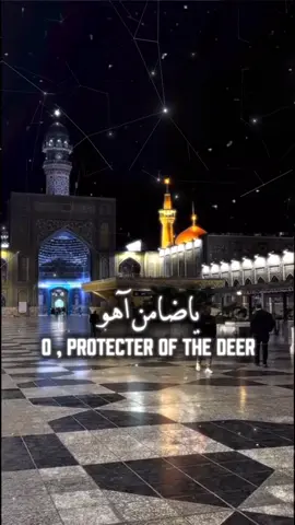 یاضامنِ آھو 🍇⛓️ #fyp #explore #imamali #imamraza #shia #shiapost #shiastatus 