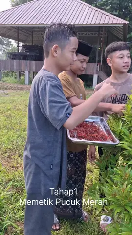 Teh Pucuk Merah ala santri PADI Samarinda #padisamarinda  #teh