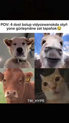 Yenede şular yaly vidyo gelmegini isleseñiz - Podpisatsa etmegi ýatdan çykarmañ! #ashgabat #turkmenistan #turkmenistan🇹🇲 #turkmenistan🇹🇲tiktok #ashgabat🇹🇲🇹🇲🇹🇲 #lebap🧿mary🧿daşoguz🧿balkan🧿ahal #lebap #balkan #dasoguz 