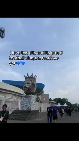 arema is true love🦁 #aremania #malangans #arema #fyp 