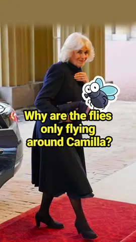 Why are the flies only flying around Camilla? #fyp #capcutforus #capcut #capcutpioneer #celebrity #QueenCamilla #VictoriaBeckham #ElizabethII #PrincessKate #PrinceWilliam #britishroyalfamily #PrinceofWales