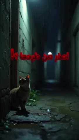 إياك تطرد القطة من بيتك… يمكن تطرد البركة معاها! #reel #اكسبلور #short #اسلاميات #الشعب_الصيني_ماله_حل😂😂 #قطة 