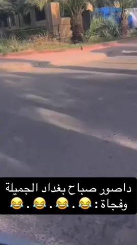 داصور صباح بغداد الجميلة  وفجاة : 😂 #just_smile61 #صباح_الخير #بغداد #الجميلة 