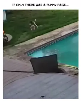 Random Acts of Comedy That Make Zero Sense But 100% Laughs 🤪🎭 #funnymoments #funnymemes #funnytiktok #unusualvideos #unusualmemes #fyp