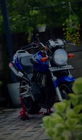 Blue Berry 🥹🫐🫶🏻#Hornet250 #aloka__x #foryou #foryoupage #virla #tiktoksrilanka🇱🇰 #viralvideo #fpyyyyyyyyyyyyyyyyyyyyyy #fffffffffffyyyyyyyyyyypppppppppppp #bikelover 