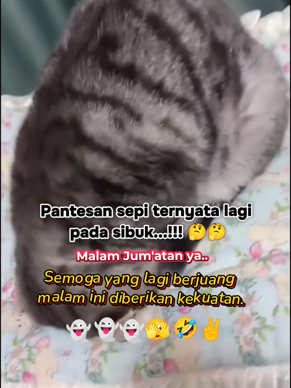 Met malam Met rehat Met malam Jum'at ya..sehat selalu buat semuanya..🙏 #story #storylucu #metmalamjumaat😇🤭 #videoviral #videolucutiktok  #🫣🫣 #🤭🤭 #fypシ゚ #fypage 