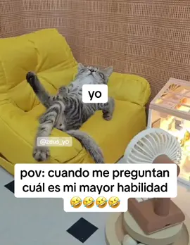 #parati #fyp #meme #memecut #viralvideos #viraltiktok 