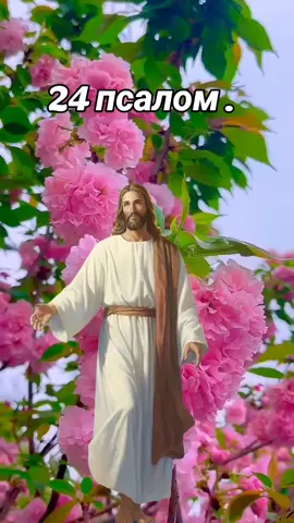 #псалом24#православнаяцерковь #молитва 