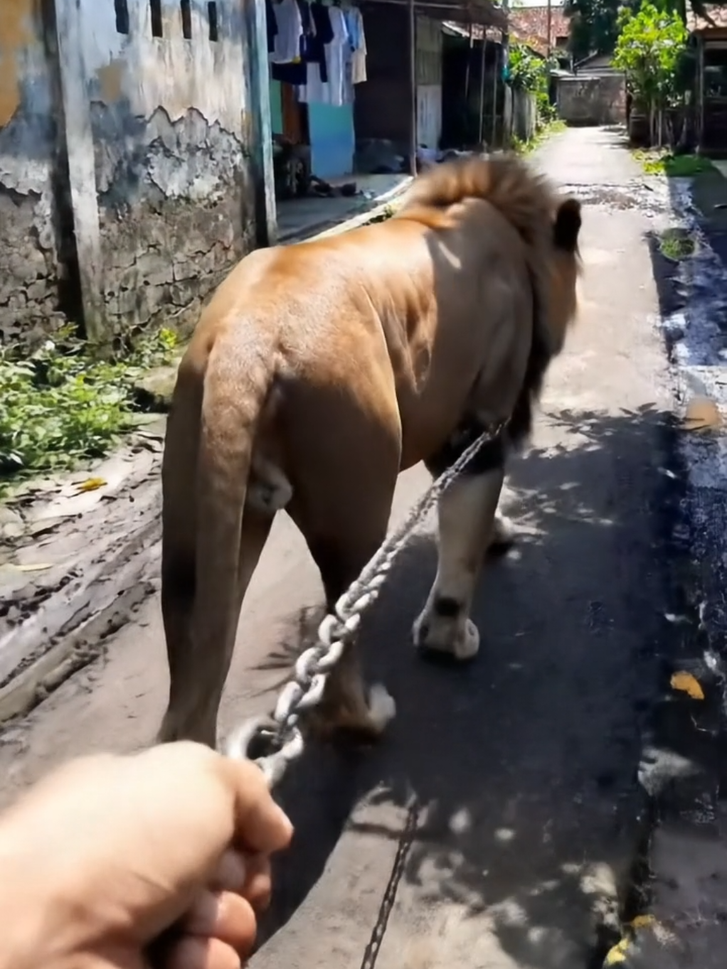 Biar ga ketemu Anomali 