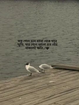 মরে গেলে চলে যাবো থেকে যাবে স্মৃতি, মরে গেলে ভালো হবে বেঁচে থাকলেই ক্ষতি..!🖤#foryou #foryoupage #status #btiktokofficial #viral #unfreezemyacount @TikTok @TikTok Bangladesh 