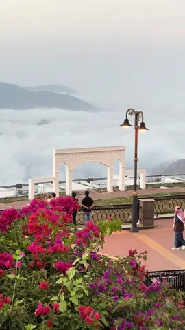أبها 😍