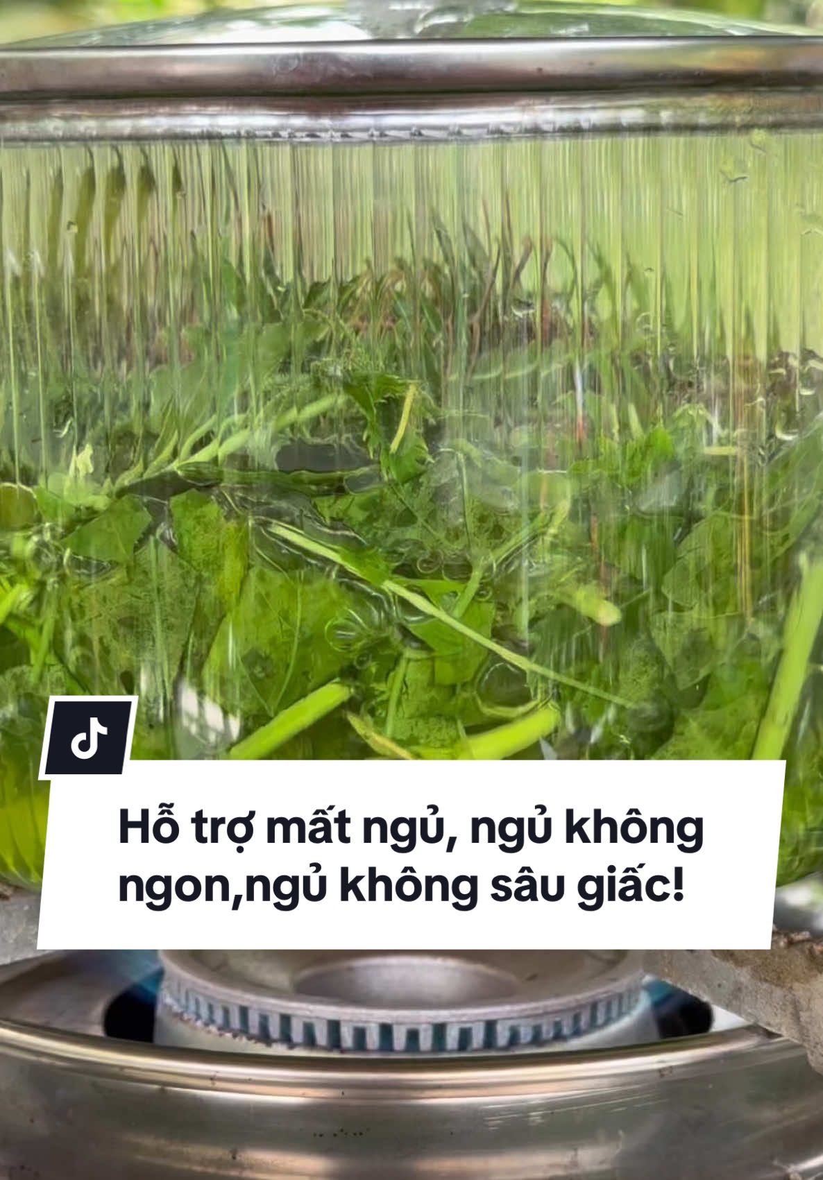 Mất ngủ, ngủ không ngon, ngủ không sâu giấc không còn đánh lo ngại khi biết đến loại trà từ đinh lăng và lạc tiên #orymandep #baithuocdangian #meodangian #mấtngủ #ngủngon #ngủ 