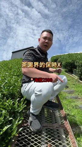 保時X是拿來灑肥料？！#哇喜文成 #精品 #龍魚 #招財 #紅龍 #水族 #寵物 #魚 #茶 #茶葉 #高山茶 #春茶 #養好魚喝好茶 