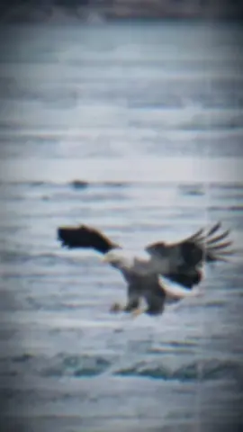 كم انت عظيم حتي في سكوتك#بص_يامعلم #حط_صورتك😅👌🏻 #حالات_واتس #ترند_تيك_توك #اكسبلور #الشعب_الصيني_ماله_حل😂😂 