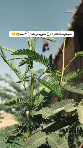 #تصويري📸 #قناتي_تليجرام_بالبايو💕🦋 #تصويري_احترافي_الاجواء👌🏻🕊😴 #عباراتكم_الفخمه📿📌 #عباراتكم_الفخمه📿📌 