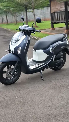 #scoopy2025 #scoopygen6 #welovehonda #4upageシ 