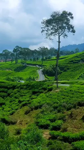 ga pernah bosan mengunjungi tempat ini #ciwidey #bandung #foryoupage #fyp 