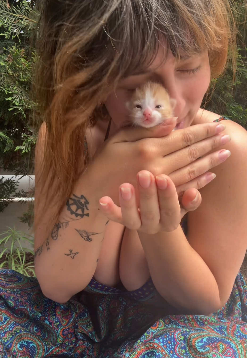 Her /his name is RED 🐈 