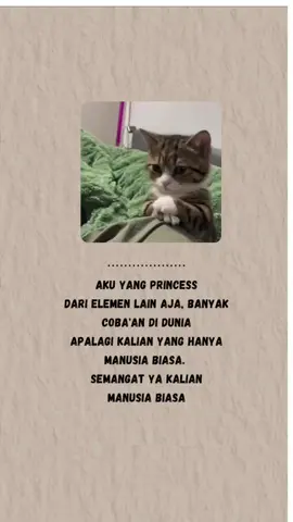 Bagian 24 // yang semangat ya😗 .  .  #memekucinglucu #foryoupage #foryou #tiktok #berandafypシ 