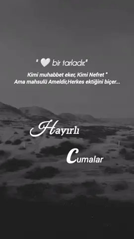 #hayırlıcumalar🌹🌺🌺🌷💖 #hayırlıcumalar #cuma #kalp #tarla #cumanız_mübarek_olsun🌹🕋🌹🕌🤲 #cumamesajları #cumavideoları #dua #🌻 #💐 #🖤🖤 #🕊️ #🍂 #🌞 #🕌🕋🕌🤲🤲 